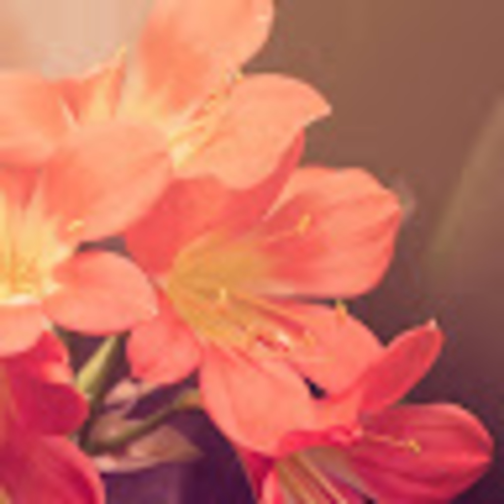 Meet your Posher, Caroline